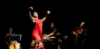 Spettacoli di flamenco a Granada